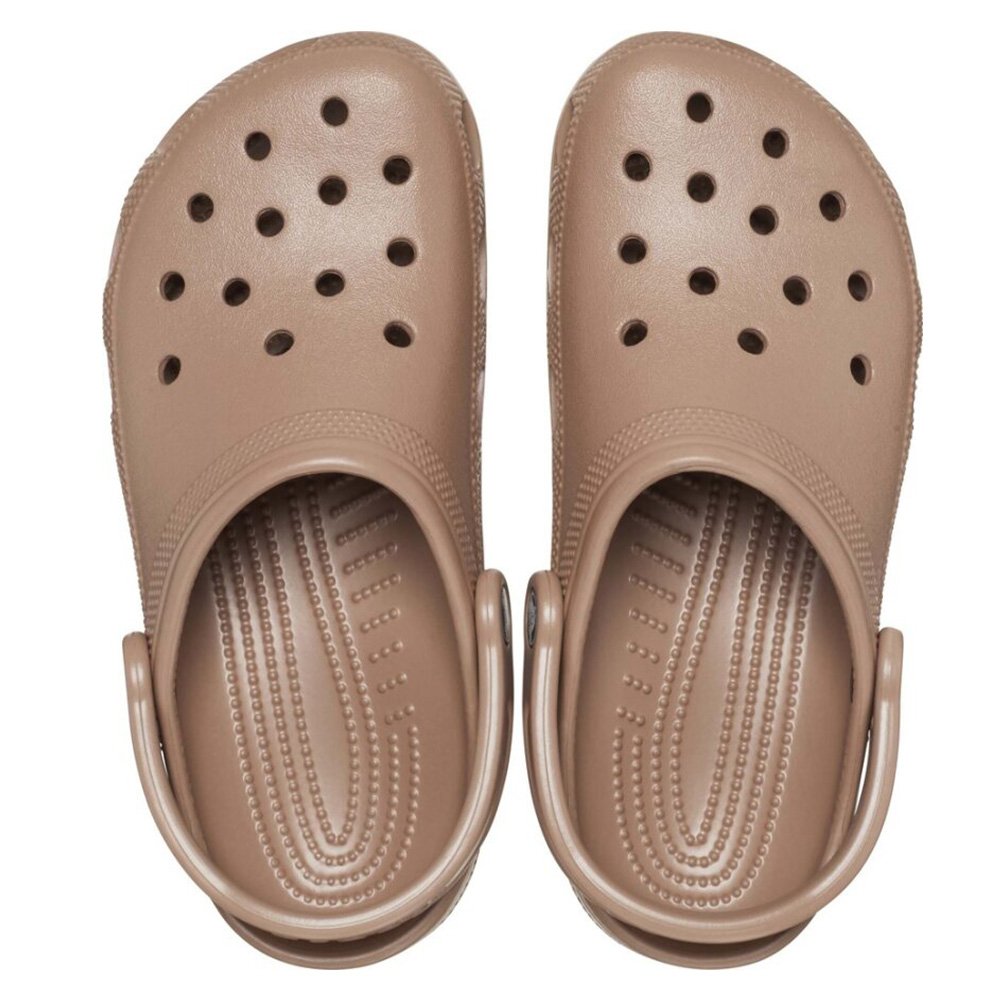 Crocodile clogs 2024